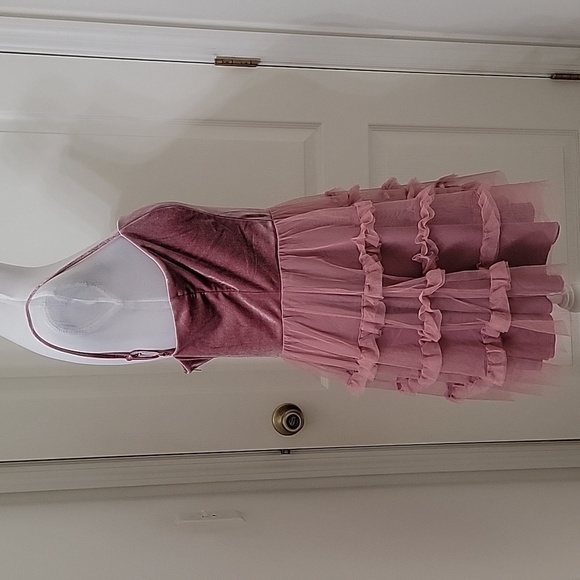 Trixxi Pink Velvet and Tulle Mini Dress - Picture 7 of 14